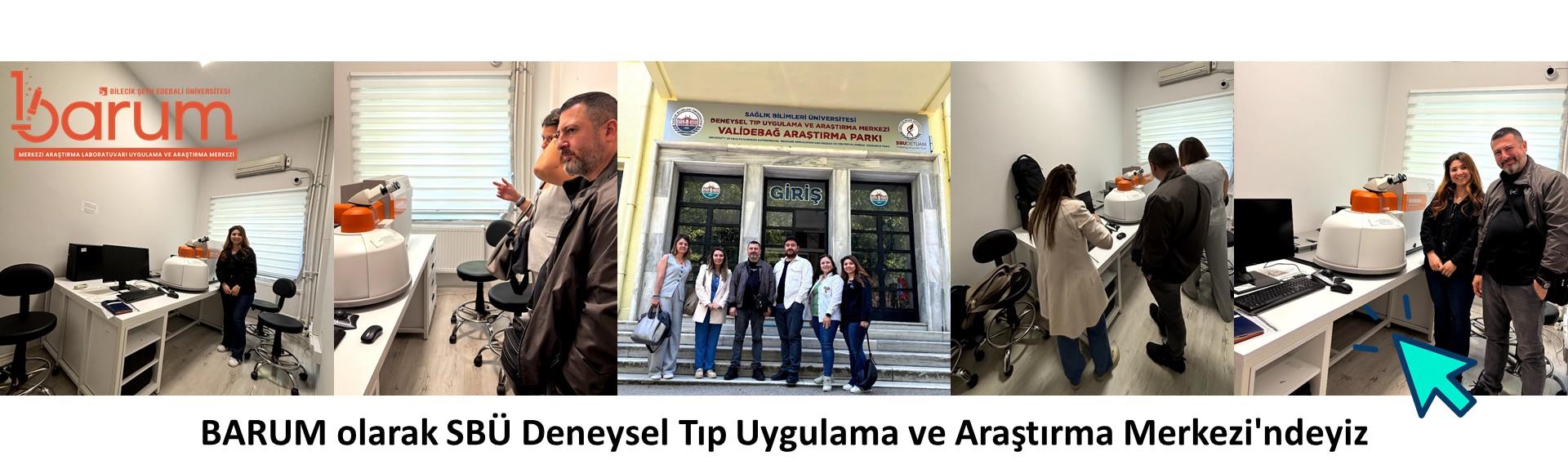 surgu fotoğraf 5204
